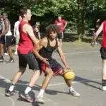 IMG 4981